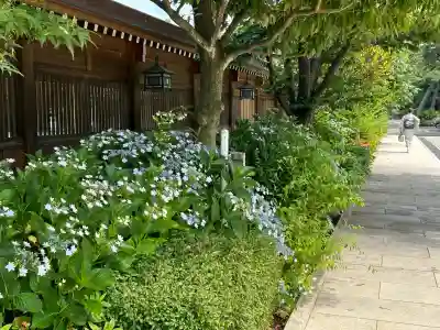 新潟縣護國神社(新潟県)