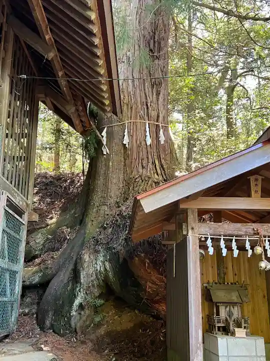 萩日吉神社(埼玉県)