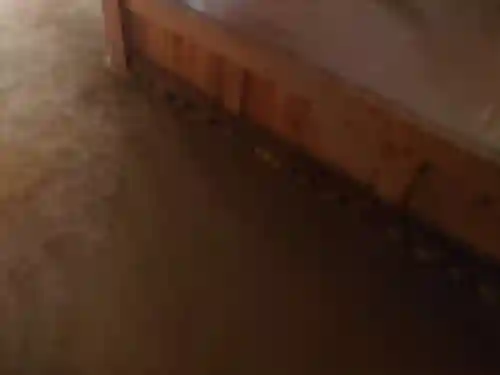 乃木神社の周辺