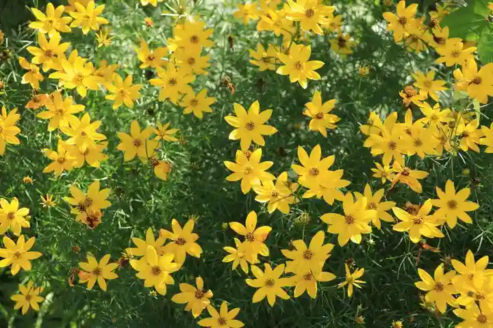 豊景神社の自然