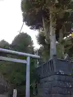 御霊神社(神奈川県)