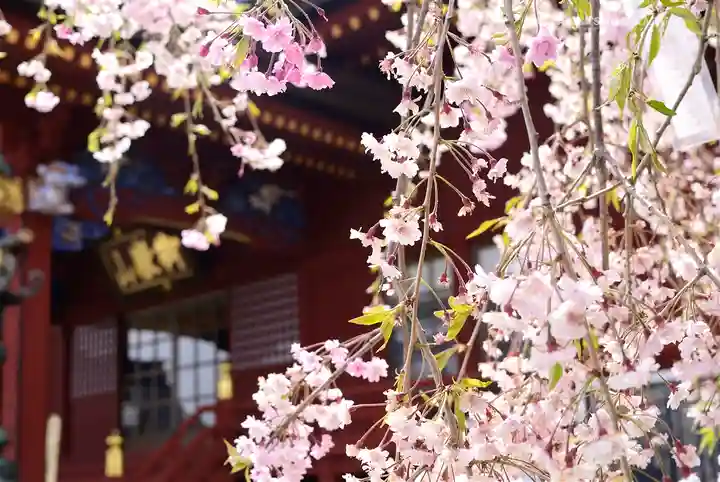 武蔵御嶽神社の自然