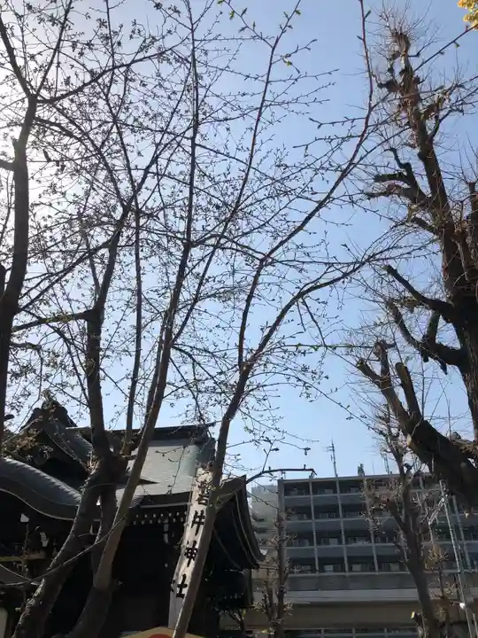 磐井神社の自然