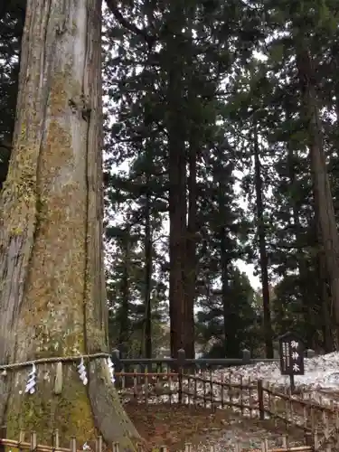 戸隠神社中社のその他建物
