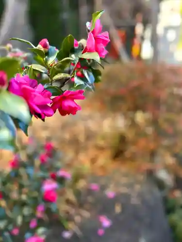 西光寺(長野県)