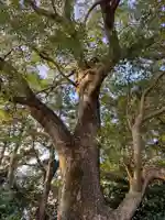 千引神社(三重県)