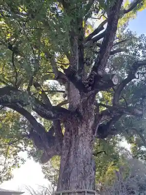 平野神社(京都府)