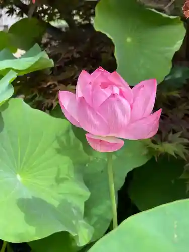 梅香寺(三重県)
