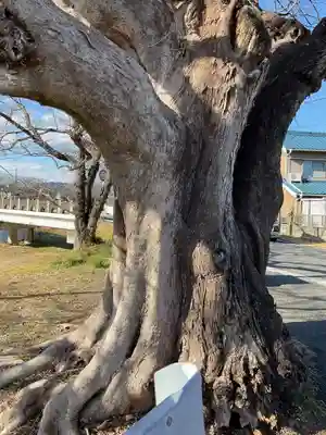 若宮八幡社(愛知県)