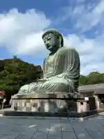 高徳院の御朱印