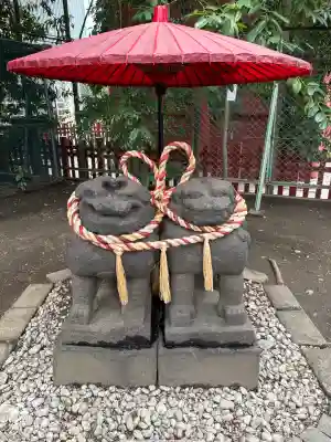 浅草神社の狛犬