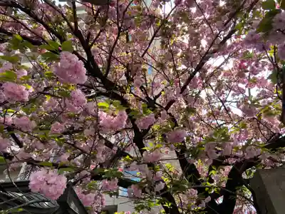 白龍神社(愛知県)
