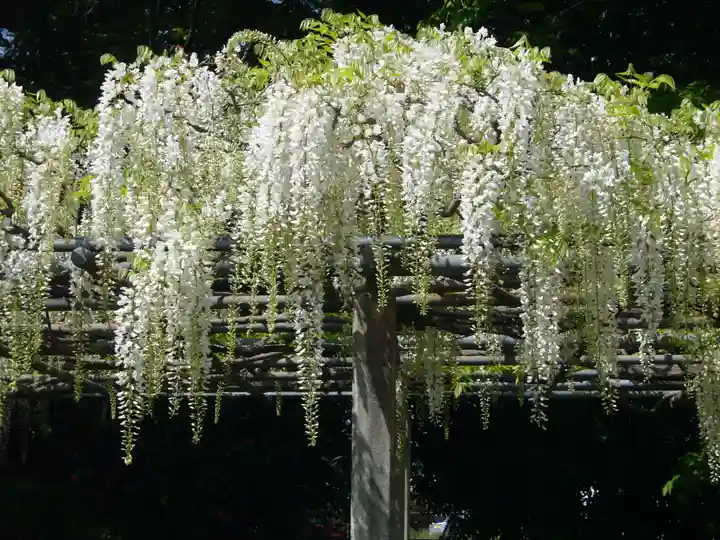 玉敷神社(埼玉県)