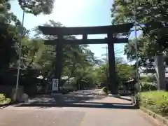 愛知縣護國神社の鳥居