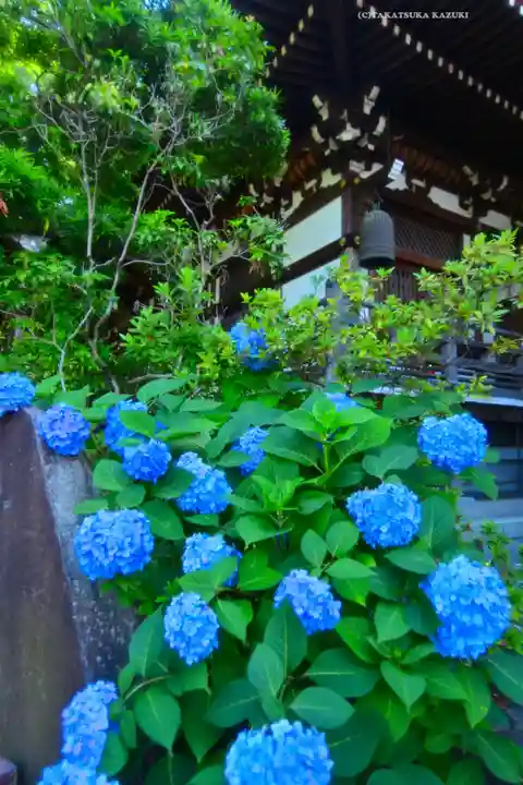 高幡不動尊 金剛寺(東京都)
