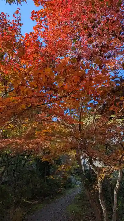 神藏寺(京都府)