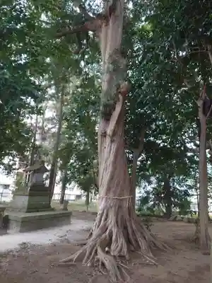 日秀将門神社の自然