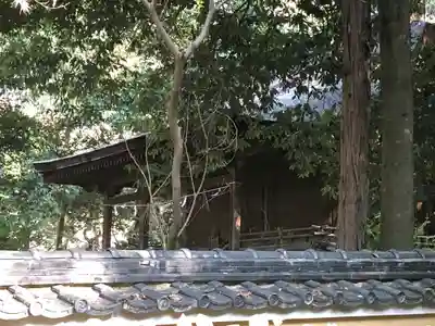 神谷神社の本殿・本堂