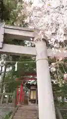 赤城神社の自然