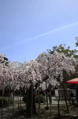 水無瀬神宮(大阪府)