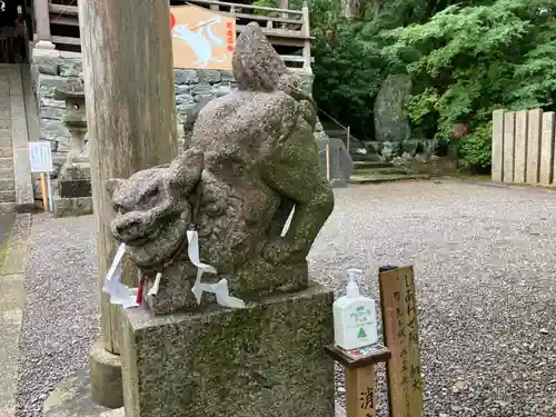 宇賀部神社の狛犬