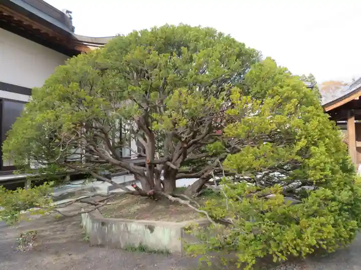 光善寺(福島県)