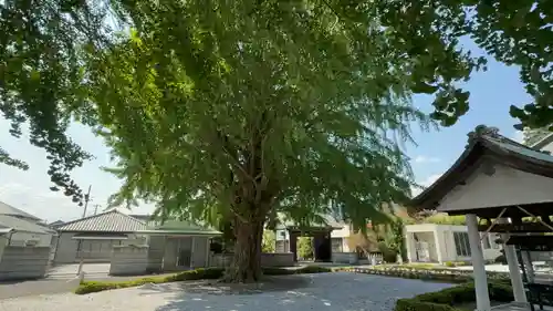 星谷寺(神奈川県)