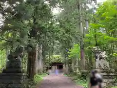 戸隠神社奥社(長野県)