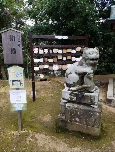 金刀比羅神社の狛犬