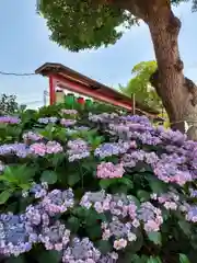 尼崎えびす神社の自然