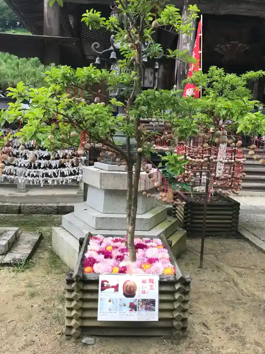 岡寺(龍蓋寺)のその他建物