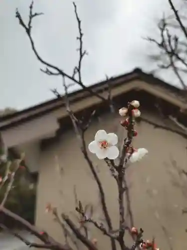 豊山八幡神社(福岡県)