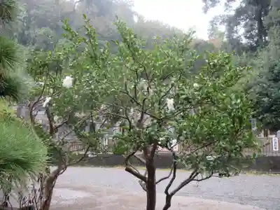 般若院(神奈川県)