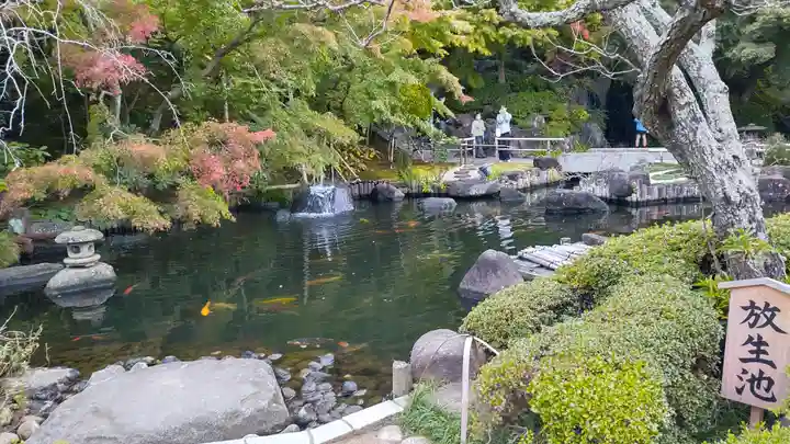 長谷寺(神奈川県)