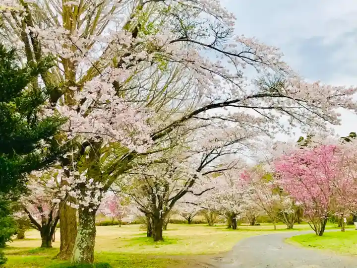 女化神社の自然