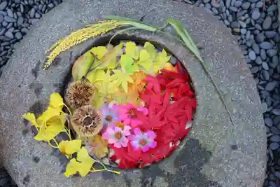 正寿院の手水舎