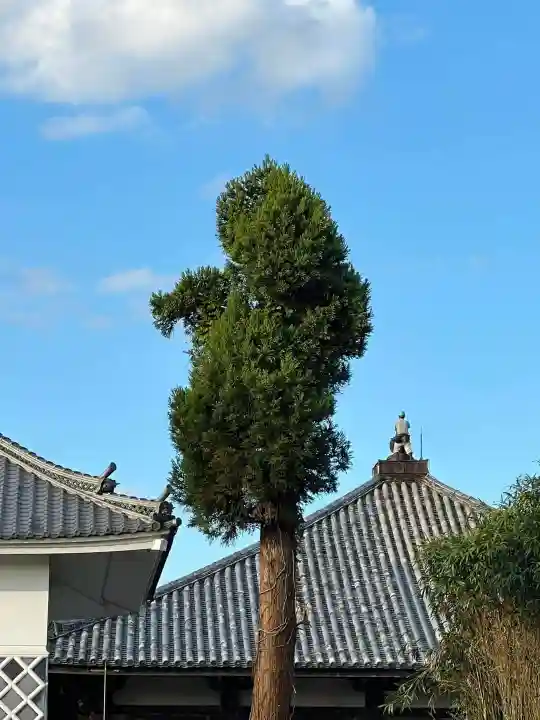 浄土寺(兵庫県)