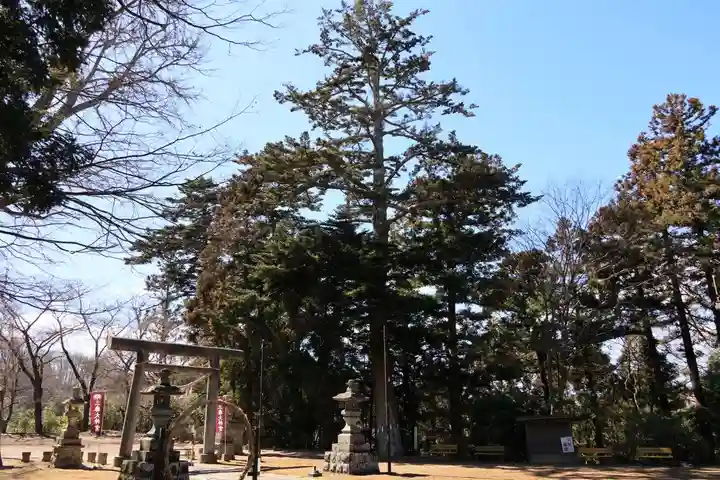 三春大神宮の景色