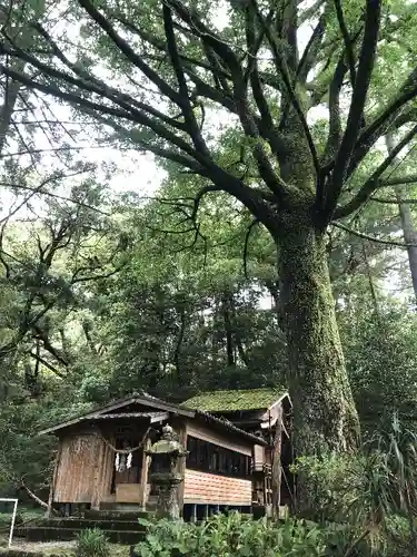 生達神社の自然
