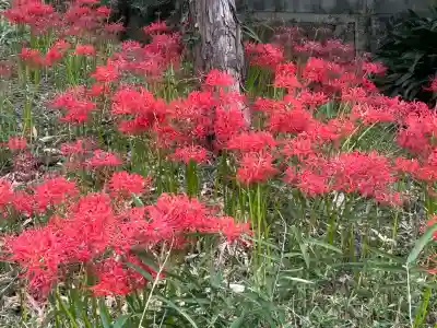 大和神社(奈良県)