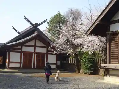 代田八幡神社(東京都)