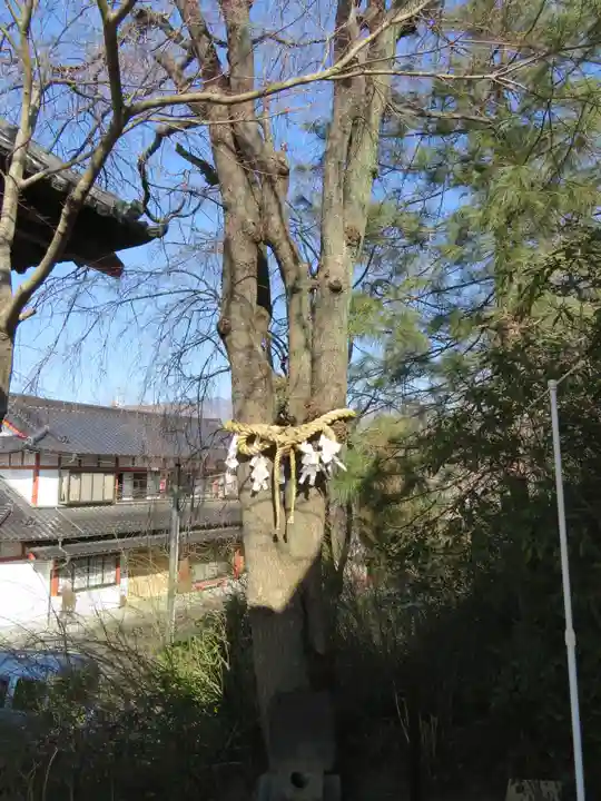 差出磯大嶽山神社 仕事と健康と厄よけの神さまの自然