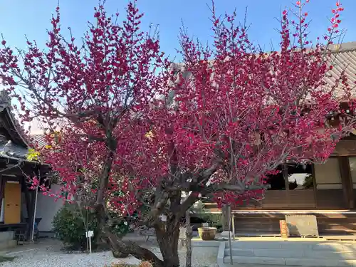 延命寺(愛知県)