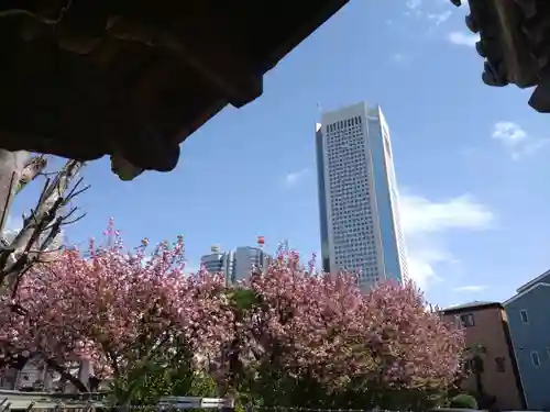 荘厳寺(東京都)