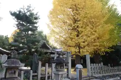 桃山天満宮(京都府)