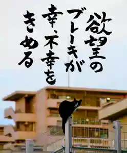 専念寺(大阪府)(2021年06月21日(月) 21時08分29秒投稿)