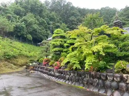 吉祥寺の庭園