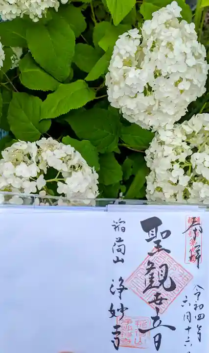 浄妙寺の御朱印