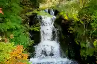 富士山東口本宮 冨士浅間神社の自然