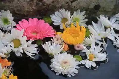 八幡神社の手水舎